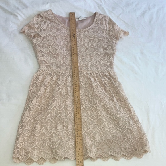 Forever 21 size medium creamy / Tan A-line Flutter Sleeve lace Dress lined Teen - Picture 16 of 16